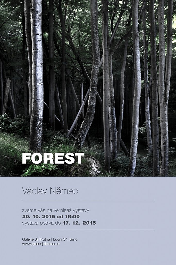 Forest-Gallery-Jiri-Putna-in-Brno