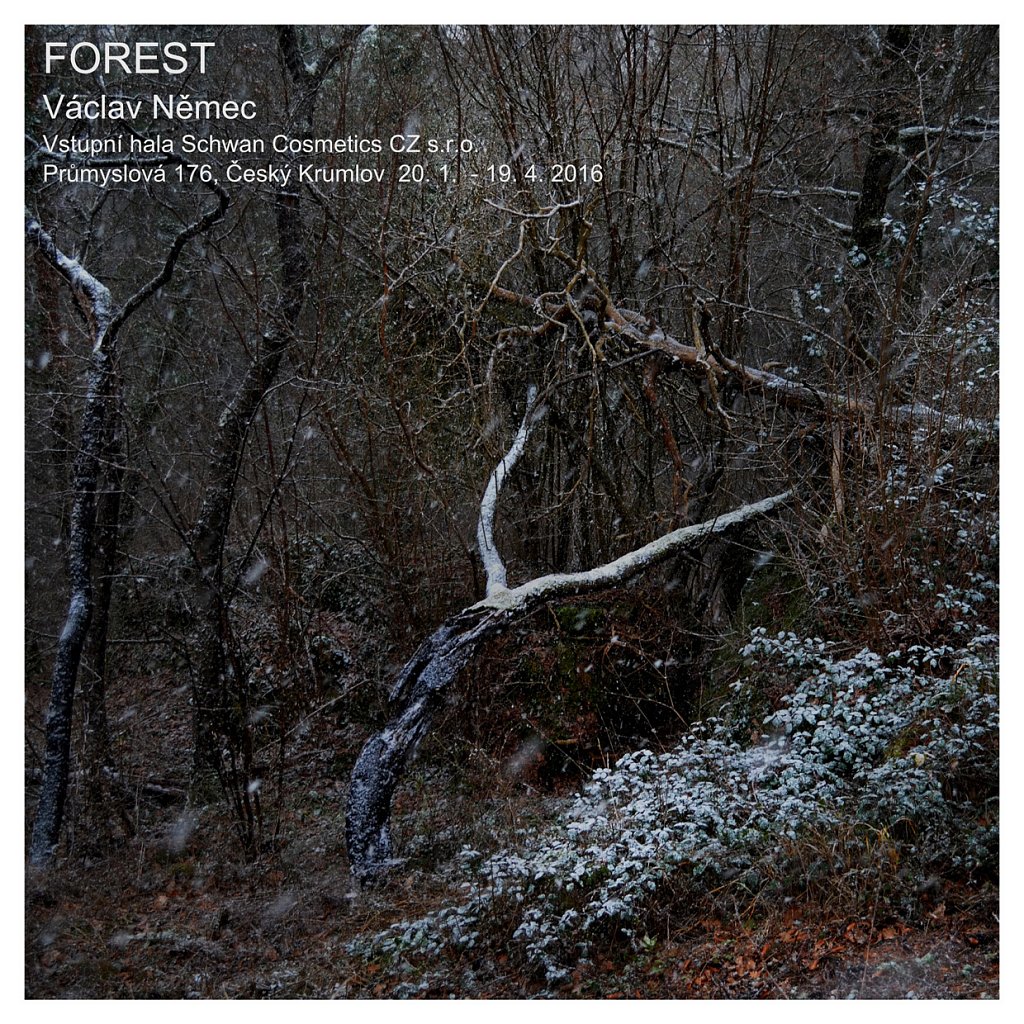 Forest-Schwan-Cosmetics-in-Cesky-Krumlov