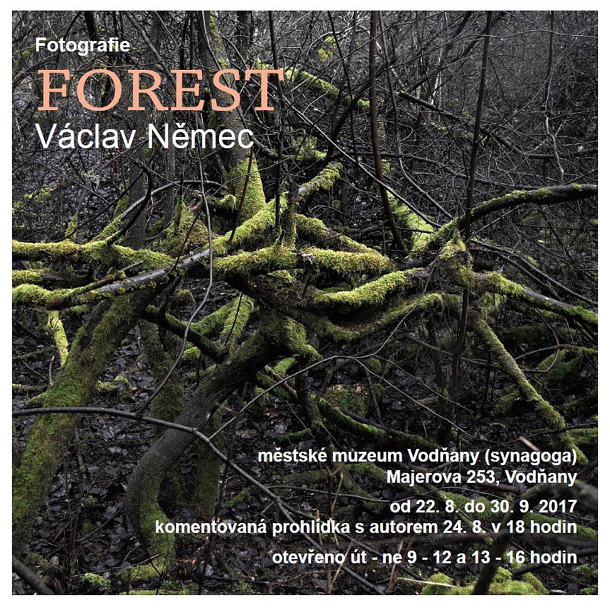 Forest-Municipal-museum-in-Vodnany