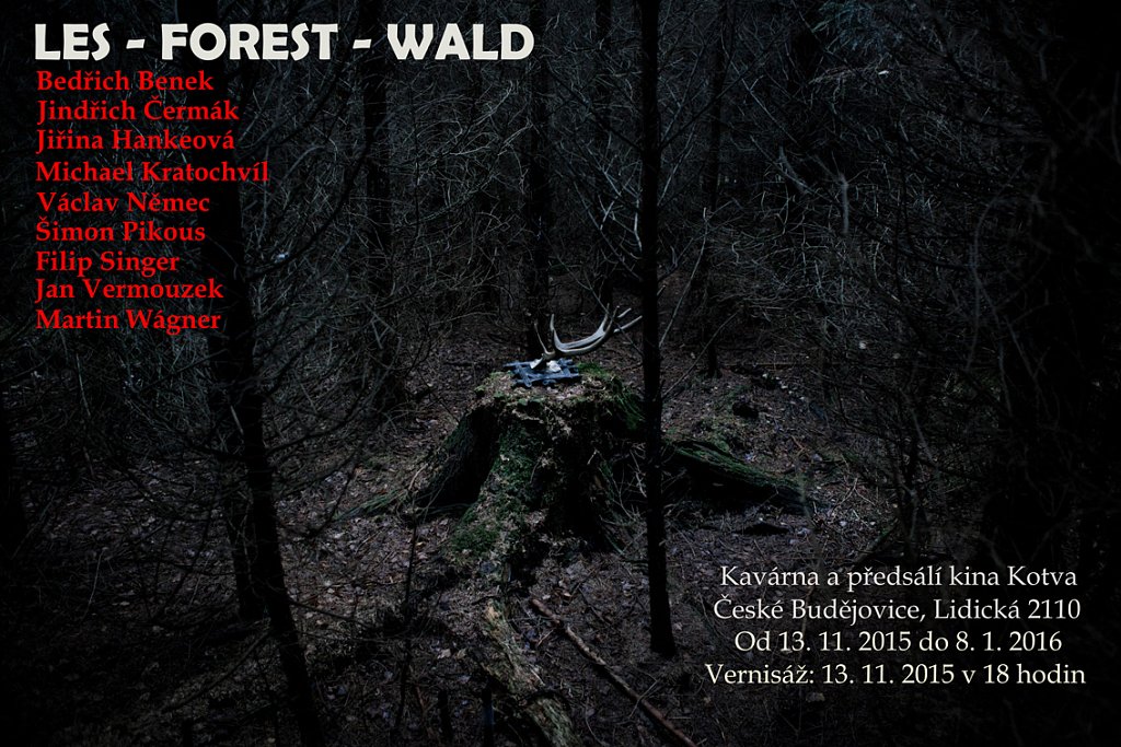 Forest-Kotva-cinema-Ceske-Budejovice