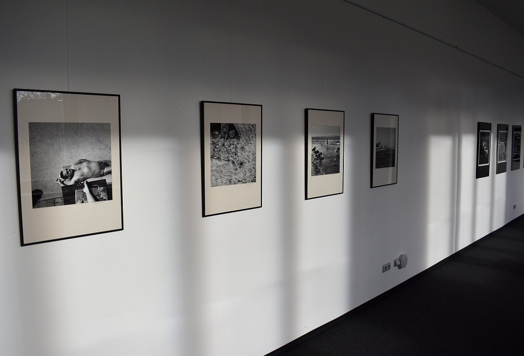 Sušice - Galerie Sirkus
