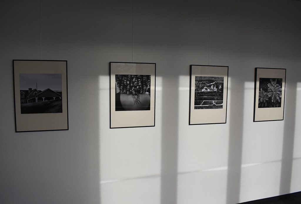 Sušice - Galerie Sirkus