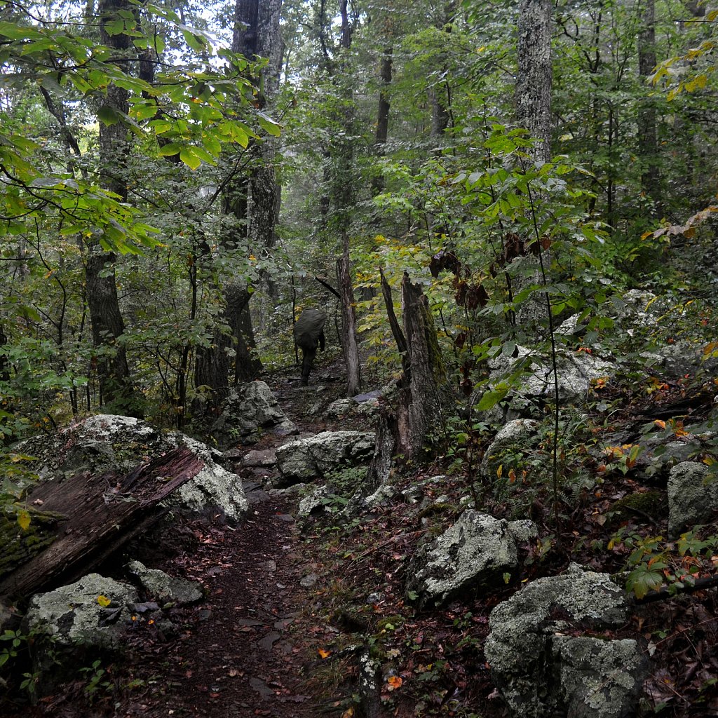 Appalachian trailAppalachian 