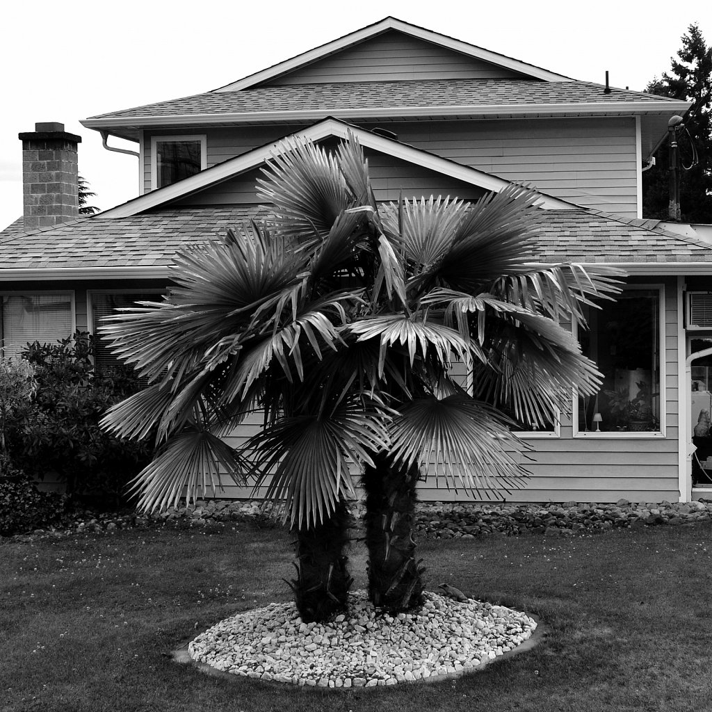Victoria, Vancouver Island