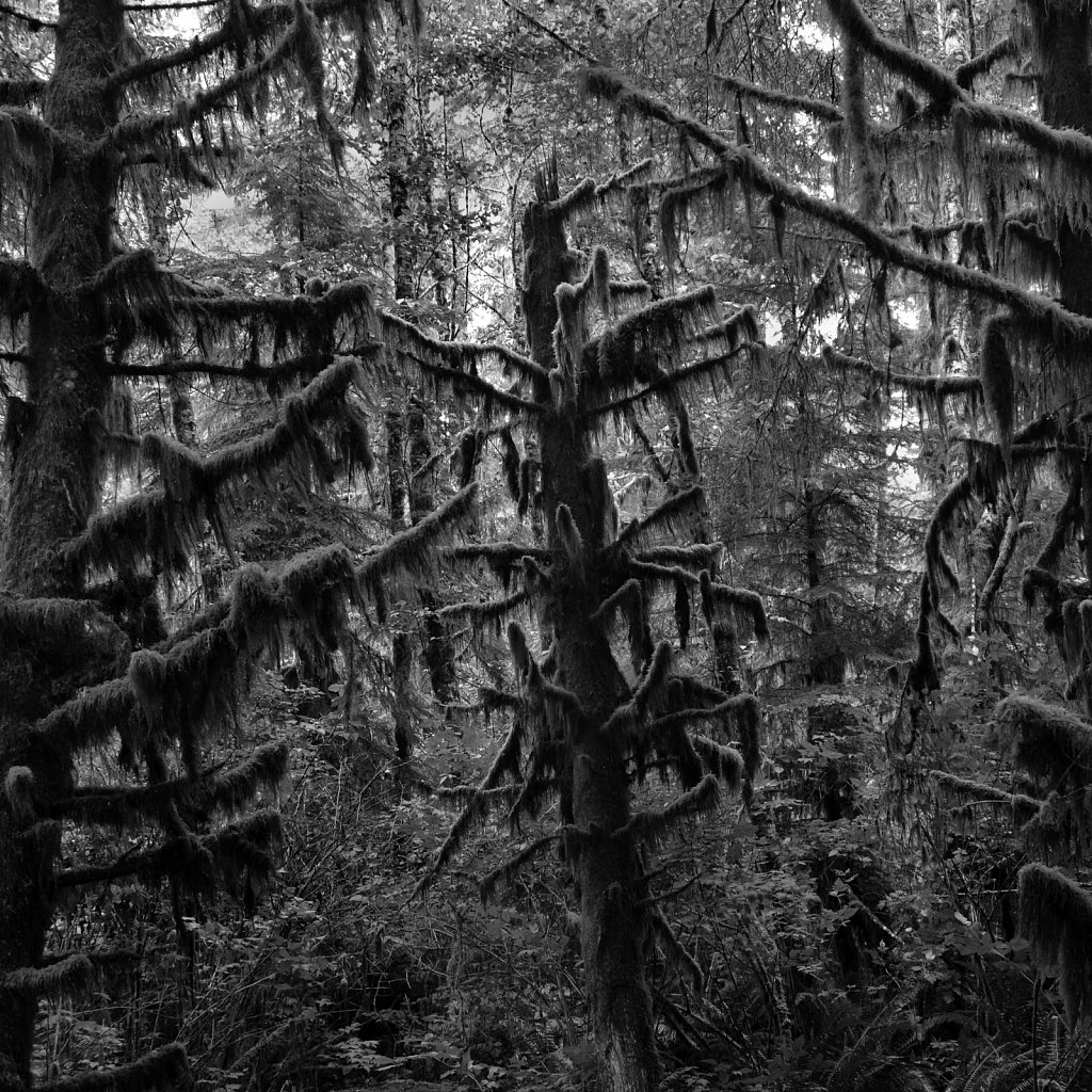 Vancouver Island