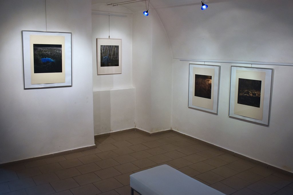 Forest - Gallery Fara