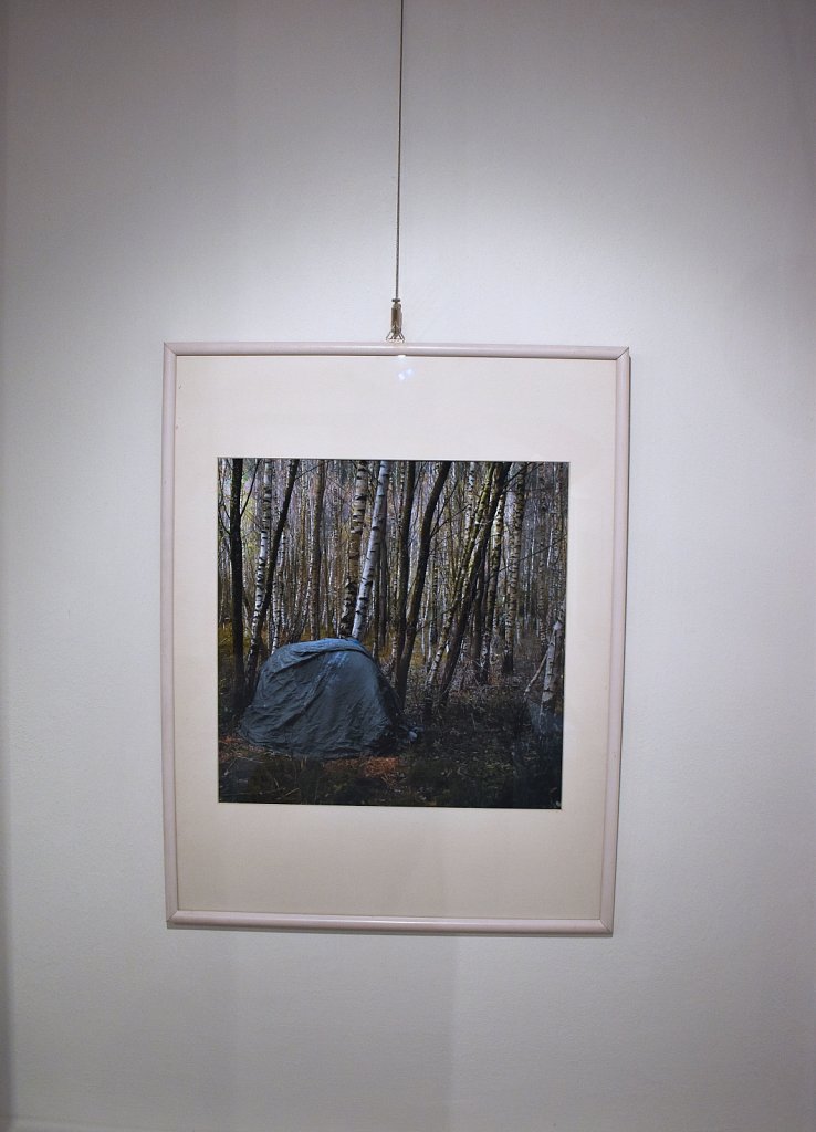 Forest - Gallery Fara
