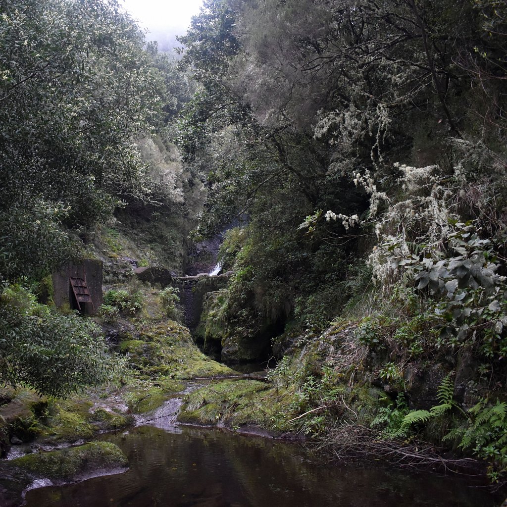 Madeira Trip