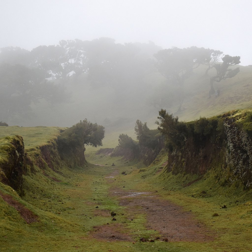 Madeira Trip