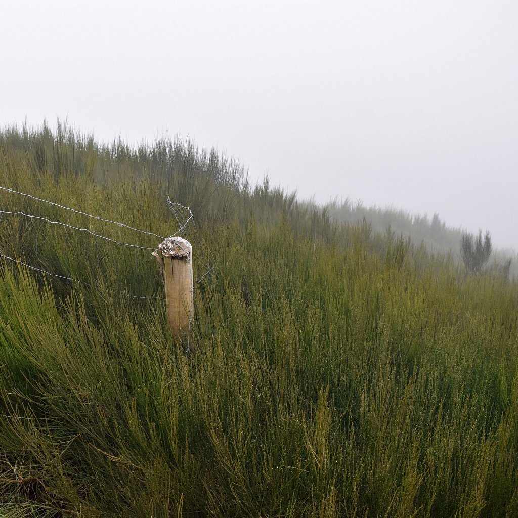 Madeira Trip