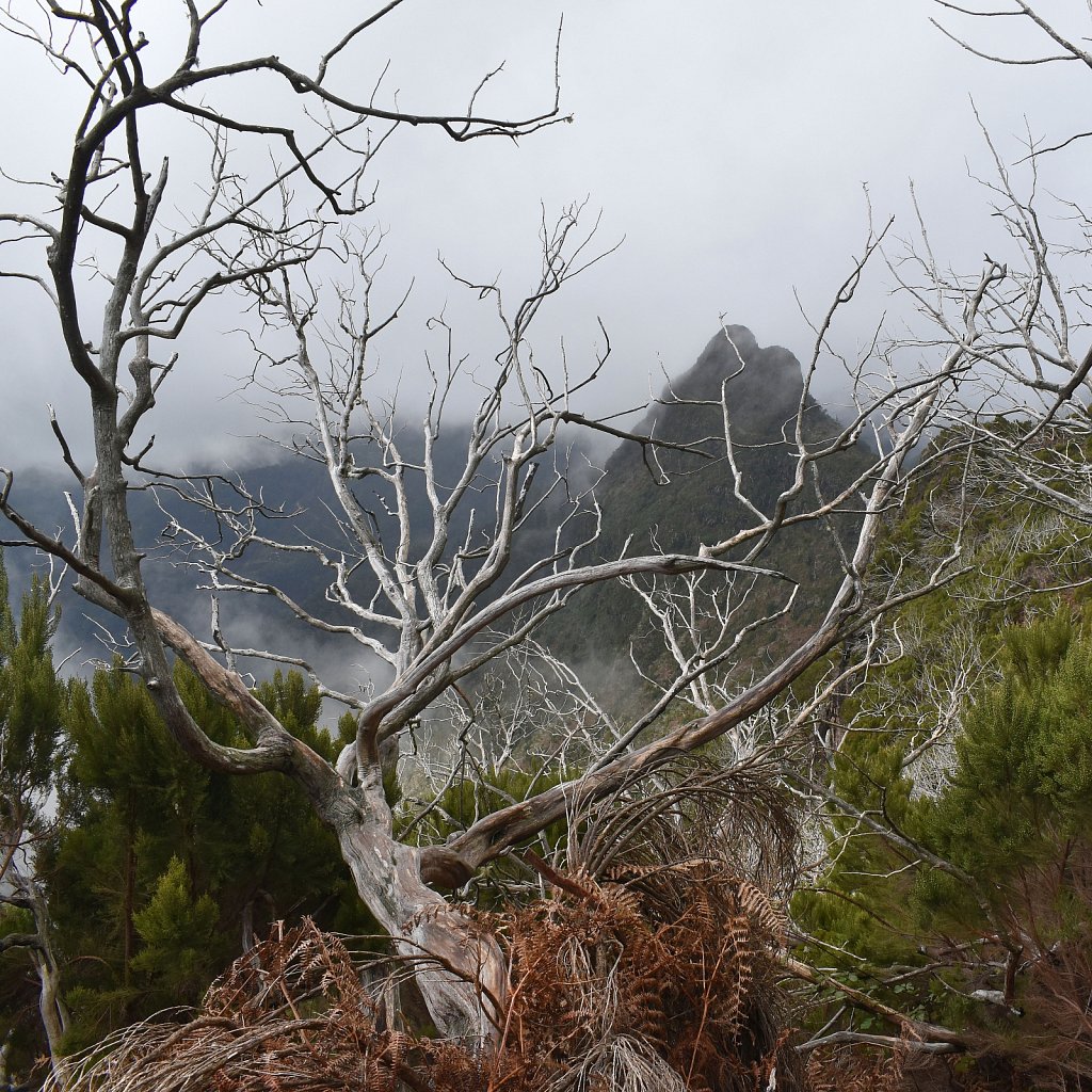 Madeira Trip