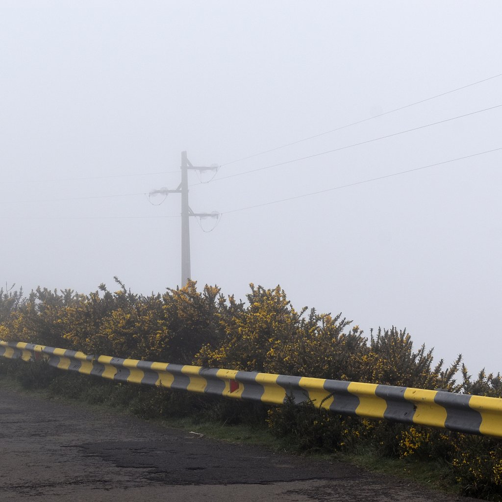 Madeira Trip