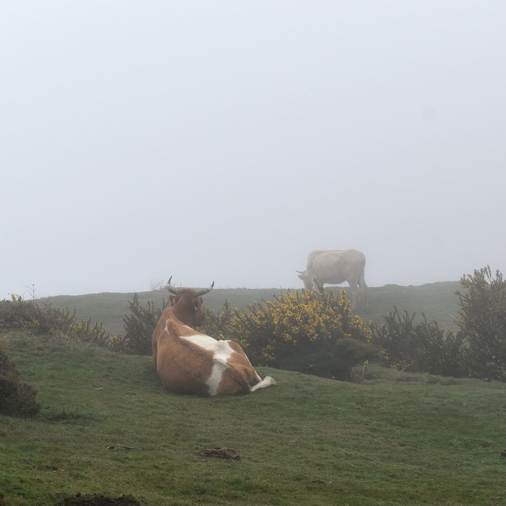 DSC-0634f-kopie.jpg