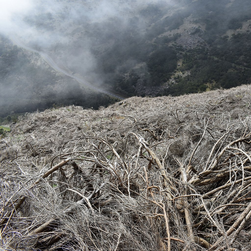 Madeira Trip