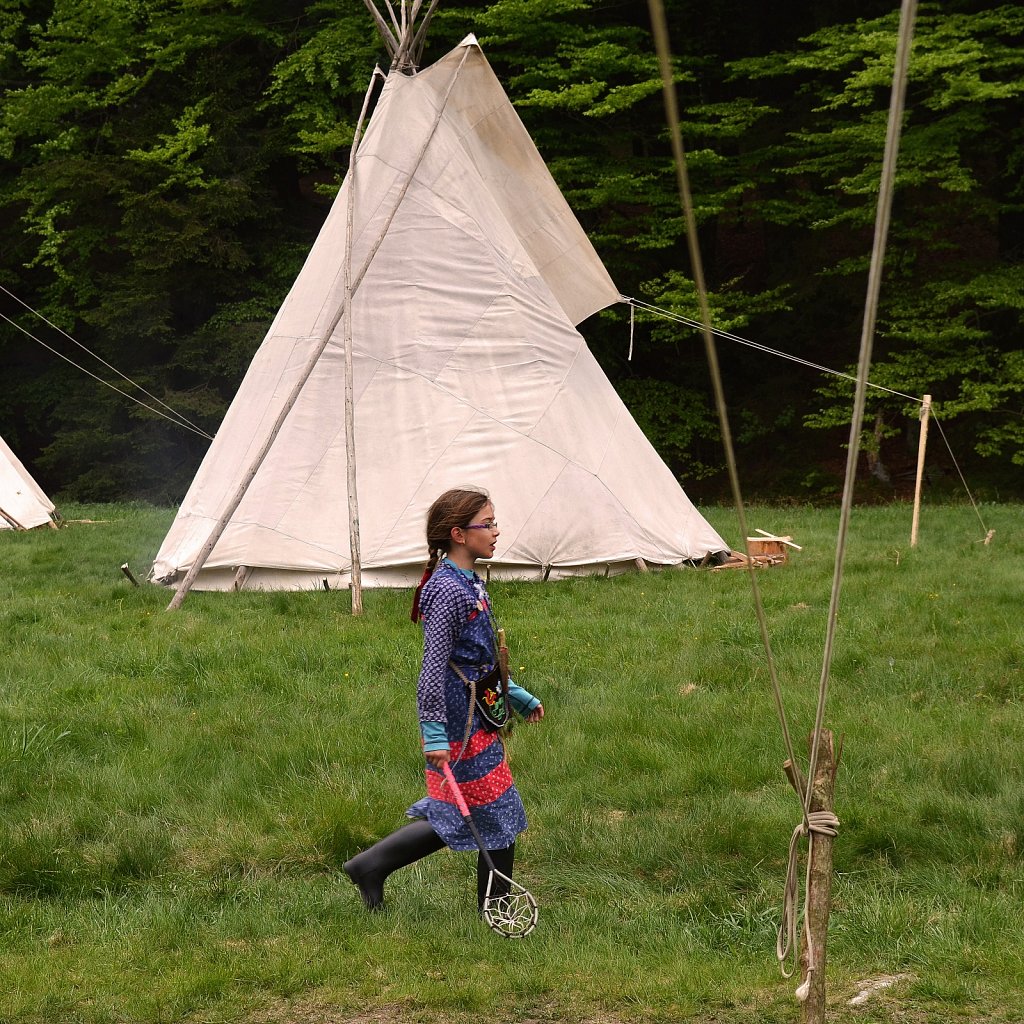 The Last of the Mohicans