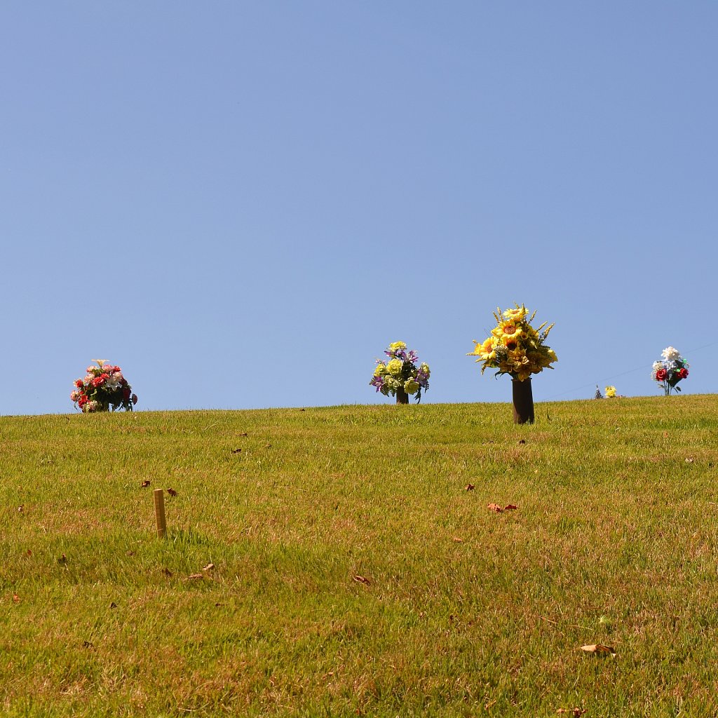 Appalachian 