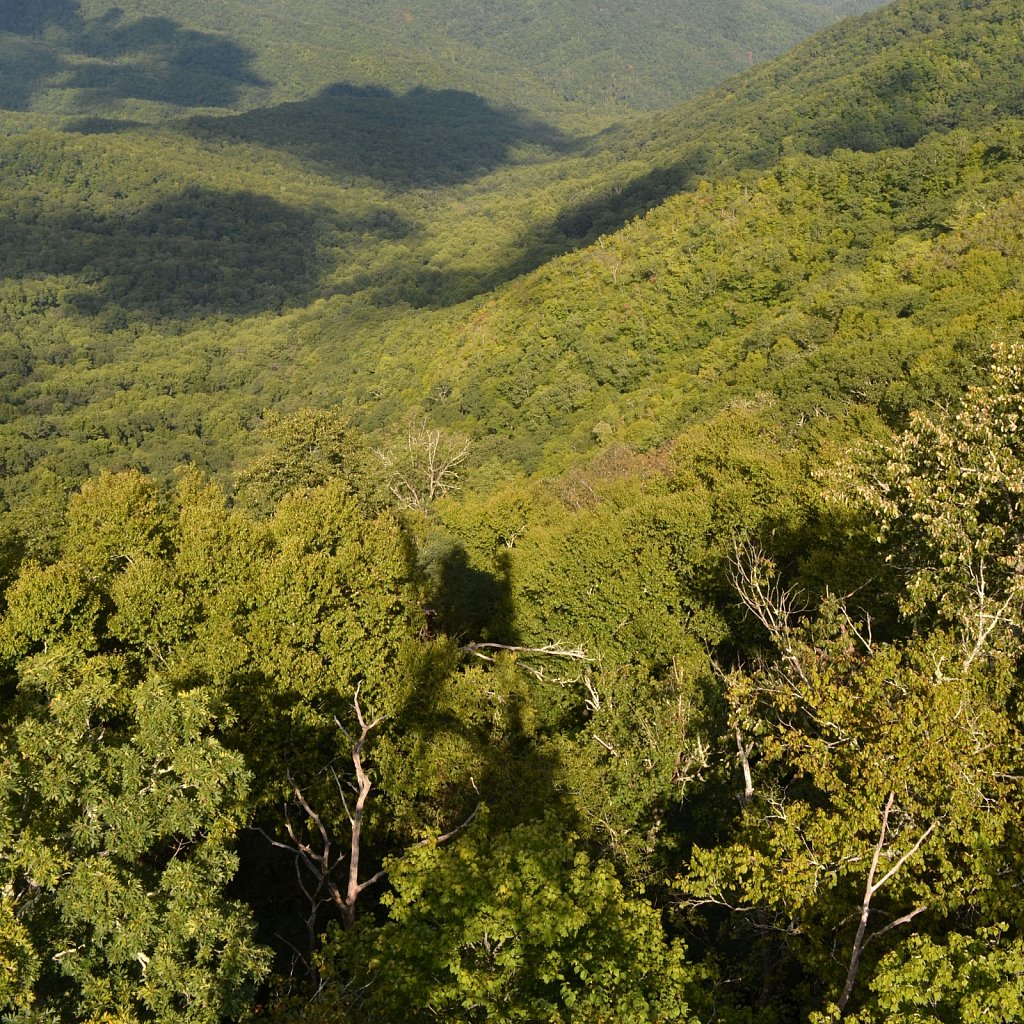 Appalachian 
