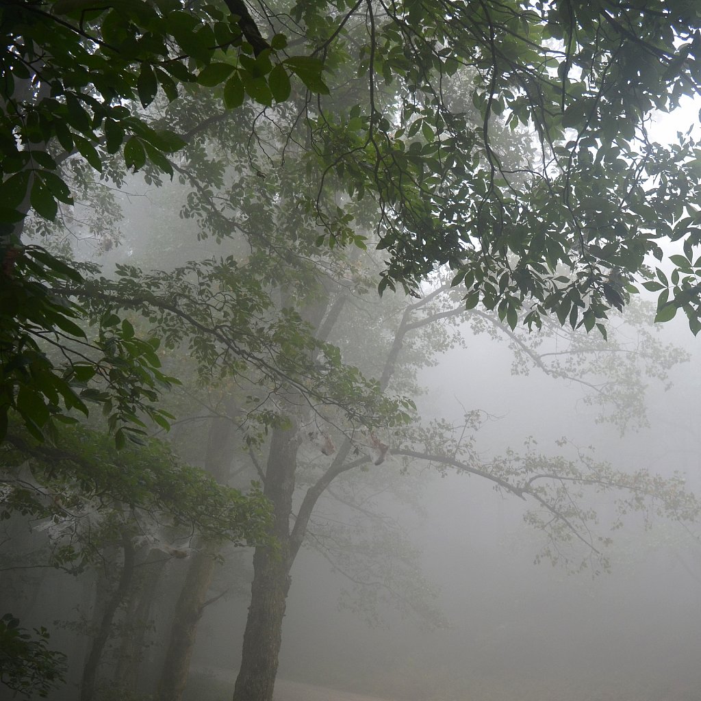 Appalachian 