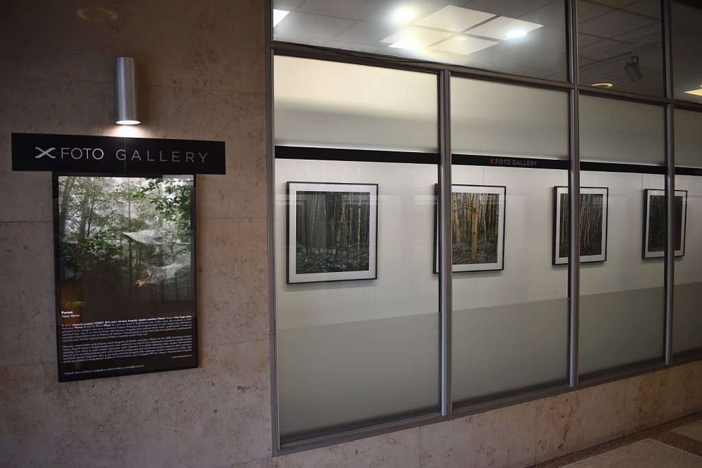 X-Foto Gallery Prag